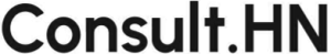 Logo Consult-HN