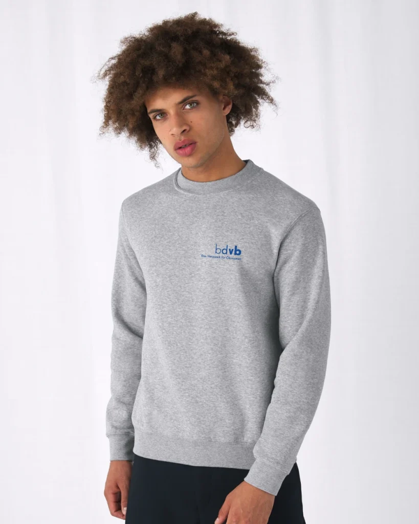 Sweater modegrau  bestickt
